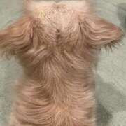 ヒメ日記 2026/01/13 14:20 投稿 りら（新人割引5/2まで） ウルトラグレイス24