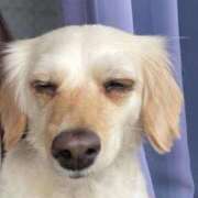 りら（新人割引5/2まで） りらです🤍 ウルトラグレイス24