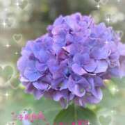 ヒメ日記 2025/07/09 02:47 投稿 真弓 あおば Canx2京都店