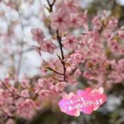 真弓 あおば お久しぶりです🌙🧸❤️ Canx2京都店