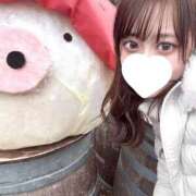 ヒメ日記 2025/05/04 16:18 投稿 もこ SCREEN(スクリーン)