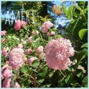 ヒメ日記 2025/05/13 11:58 投稿 あめり 逢って30秒で即尺