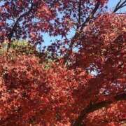 ヒメ日記 2025/12/08 11:38 投稿 あめり 逢って30秒で即尺