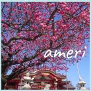 ヒメ日記 2026/03/05 18:51 投稿 あめり 逢って30秒で即尺