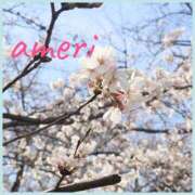 ヒメ日記 2026/03/24 12:05 投稿 あめり 逢って30秒で即尺