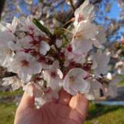 ヒメ日記 2026/04/08 09:12 投稿 あめり 逢って30秒で即尺