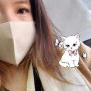 ヒメ日記 2026/03/24 11:06 投稿 まみ ZERO-i