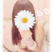 ヒメ日記 2025/05/24 13:24 投稿 あおい ギン妻パラダイス 和歌山店