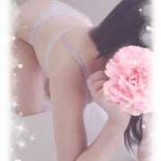 ヒメ日記 2025/05/29 12:10 投稿 あおい ギン妻パラダイス 和歌山店