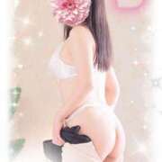 ヒメ日記 2025/06/18 11:08 投稿 あおい ギン妻パラダイス 和歌山店