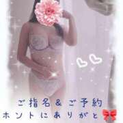 ヒメ日記 2025/06/19 16:32 投稿 あおい ギン妻パラダイス 和歌山店