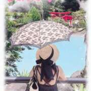 ヒメ日記 2025/08/16 08:42 投稿 あおい ギン妻パラダイス 和歌山店