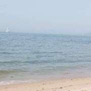 ヒメ日記 2025/08/21 06:50 投稿 あおい ギン妻パラダイス 和歌山店