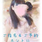 ヒメ日記 2025/09/14 09:30 投稿 あおい ギン妻パラダイス 和歌山店