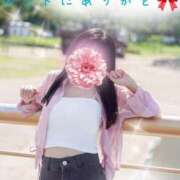 ヒメ日記 2025/10/17 13:43 投稿 あおい ギン妻パラダイス 和歌山店