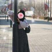 ヒメ日記 2026/01/31 09:19 投稿 あおい ギン妻パラダイス 和歌山店