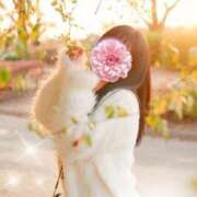 ヒメ日記 2026/02/01 16:23 投稿 あおい ギン妻パラダイス 和歌山店