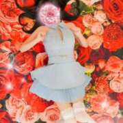 あおい 🎀本日出勤🩷🎀 ギン妻パラダイス 和歌山店