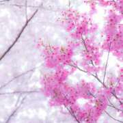 ヒメ日記 2025/04/28 17:51 投稿 新人すず G-1八戸