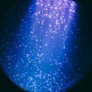 ヒメ日記 2025/07/20 13:46 投稿 新人すず G-1八戸