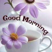 ヒメ日記 2025/11/15 09:25 投稿 新人すず G-1八戸