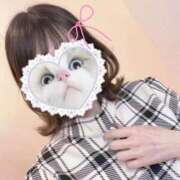 ヒメ日記 2025/09/14 00:26 投稿 かれん ビデオdeはんど　上大岡校