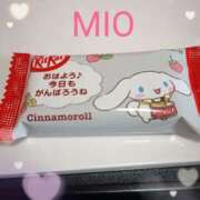 ヒメ日記 2025/05/22 09:33 投稿 みお 人妻洗体倶楽部