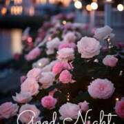 ヒメ日記 2025/07/03 00:42 投稿 みお 人妻洗体倶楽部