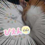 ヒメ日記 2025/08/13 23:28 投稿 もも 熟女の風俗最終章 沼津店