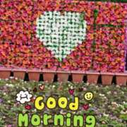 ヒメ日記 2025/08/14 08:38 投稿 もも 熟女の風俗最終章 沼津店