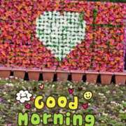 ヒメ日記 2025/10/21 08:58 投稿 もも 熟女の風俗最終章 沼津店