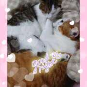 ヒメ日記 2025/10/27 23:08 投稿 もも 熟女の風俗最終章 沼津店