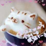 ヒメ日記 2026/01/08 08:38 投稿 もも 熟女の風俗最終章 沼津店