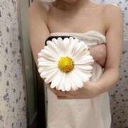 ヒメ日記 2025/07/12 20:22 投稿 ありす S級美女専門　ロイヤルリング