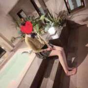 ヒメ日記 2025/06/19 07:35 投稿 高咲 のあ 人妻セレブ宮殿