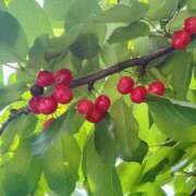 ヒメ日記 2025/07/05 15:10 投稿 高咲 のあ 人妻セレブ宮殿