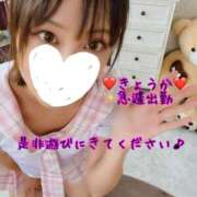 ヒメ日記 2025/07/26 22:22 投稿 きょうか 町田人妻城