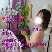 ヒメ日記 2025/08/17 13:22 投稿 きょうか 町田人妻城