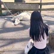 ヒメ日記 2025/07/02 16:22 投稿 すみれ No.1～ナンバーワン～