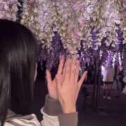 すみれ お礼??と来週シフト No.1～ナンバーワン～