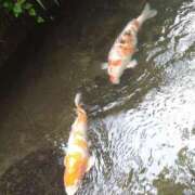 ヒメ日記 2026/08/29 19:48 投稿 水崎良香 五十路マダム静岡店（カサブランカG）