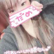 ヒメ日記 2025/12/15 20:51 投稿 なぎ サンキュー沼津店（サンキューグループ）