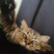 ヒメ日記 2026/03/02 17:40 投稿 なぎ サンキュー沼津店（サンキューグループ）