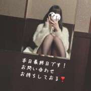 ヒメ日記 2026/04/06 13:02 投稿 あやの CCキャッツ