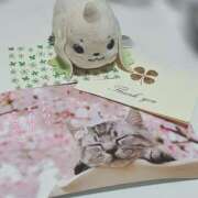 ヒメ日記 2026/04/06 19:42 投稿 あやの CCキャッツ