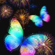 ヒメ日記 2025/08/22 21:22 投稿 あい 明石の熟女達・女華