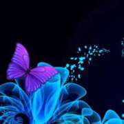 ヒメ日記 2025/10/23 21:21 投稿 あい 明石の熟女達・女華