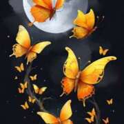 ヒメ日記 2025/10/25 07:10 投稿 あい 明石の熟女達・女華