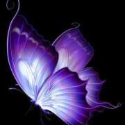 ヒメ日記 2025/11/22 06:20 投稿 あい 明石の熟女達・女華