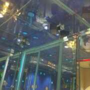 ヒメ日記 2025/05/02 05:08 投稿 ゆうこ 熟女の風俗最終章 沼津店